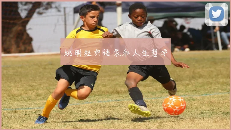 姚明经典语录和人生哲学