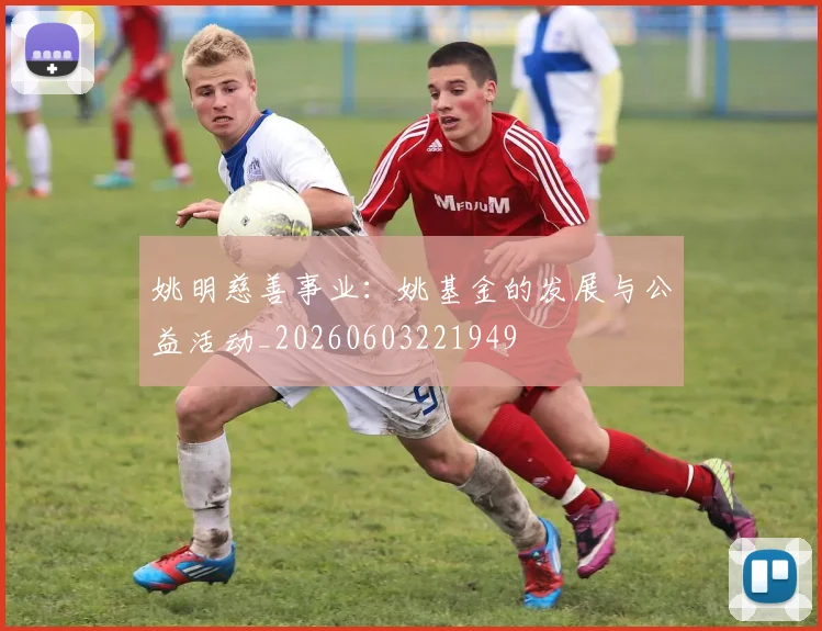 姚明慈善事业：姚基金的发展与公益活动_20260603221949