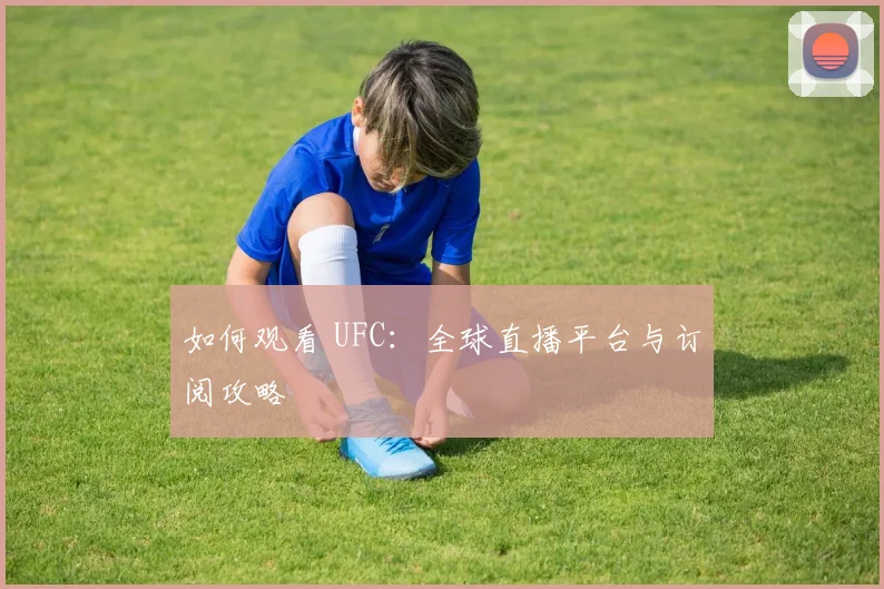 如何观看 UFC:全球直播平台与订阅攻略